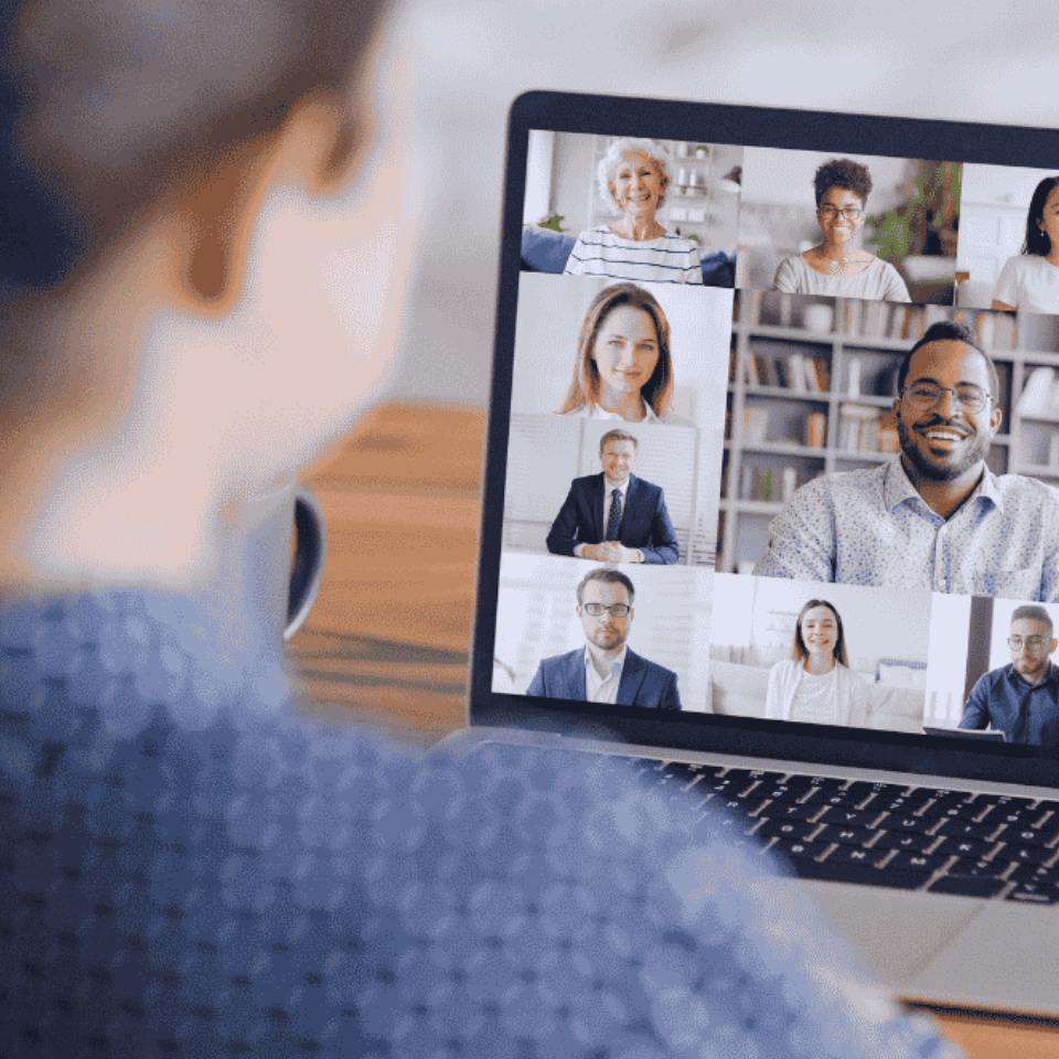 Audit and Assessment Services
