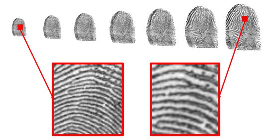 Gavi Child Fingerprint Example